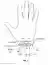 Fig. 05 - FORCE GROUNDING WRISTBAND FOR HAPTIC GLOVE