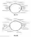 Fig. 07 - FORCE GROUNDING WRISTBAND FOR HAPTIC GLOVE