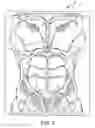 Fig. 06 - Impact Resistant Structures for Protective Garments