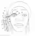 Fig. 01 - False eyelash application and removal apparatus