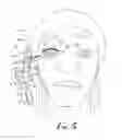 Fig. 05 - False eyelash application and removal apparatus