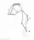 Fig. 08 - SHOE
