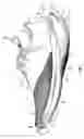 Fig. 02 - Sole structure for an article of footwear with first and second midsole bodies