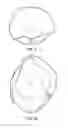 Fig. 06 - Environmentally-Friendly Bags and Totes