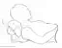 Fig. 01 - CUSHION FORMED OF ARTICULATELY INTERCONNECTED PILLOW SECTIONS