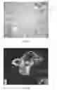 Fig. 07 - SPONGE FOR CLEANING DISH SURFACES AND METHOD OF MANUFACTURE
