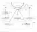 Fig. 01 - Eyeball optical measuring device and eyeball optical measuring method