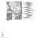 Fig. 12 - Functional optical coherent imaging