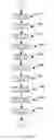 Fig. 12 - Method and device to monitor patients with kidney disease