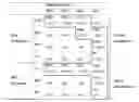 Fig. 06 - NON-INVASIVE METHOD FOR ASSESSING THE PRESENCE OR SEVERITY OF LIVER FIBROSIS BASED ON A NEW DETAILED CLASSIFICATION