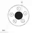 Fig. 01 - Detection of anisotropic biological tissue