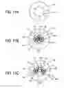 Fig. 09 - Controlling a size of a pyloris