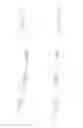 Fig. 09 - FLUID-POWERED ELONGATION INSTRUMENTATION FOR CORRECTING ORTHOPEDIC DEFORMITIES