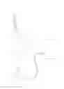Fig. 11 - FLUID-POWERED ELONGATION INSTRUMENTATION FOR CORRECTING ORTHOPEDIC DEFORMITIES