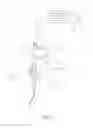 Fig. 17 - Instrument For Therapeutically Cytotoxically Ablating Parathyroidal Tissue Within A Parathyroid Gland
