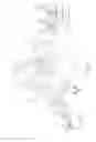 Fig. 02 - Medical member and medical device