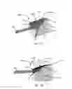 Fig. 09 - Transcatheter stent and valve assembly