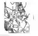 Fig. 05 - Inactivators of ornithine aminotransferase for treating toxoplasmosis and malaria