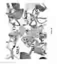 Fig. 07 - Inactivators of ornithine aminotransferase for treating toxoplasmosis and malaria