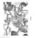 Fig. 08 - Inactivators of ornithine aminotransferase for treating toxoplasmosis and malaria