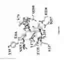 Fig. 09 - Inactivators of ornithine aminotransferase for treating toxoplasmosis and malaria