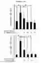 Fig. 05 - COMPOSITION FOR PREVENTING AND TREATING PANCREATITIS CONTAINING NAPHTHOQUINONE-BASED COMPOUND AS ACTIVE INGREDIENT