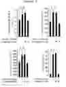 Fig. 08 - COMPOSITION FOR PREVENTING AND TREATING PANCREATITIS CONTAINING NAPHTHOQUINONE-BASED COMPOUND AS ACTIVE INGREDIENT