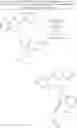 Fig. 318 - CERTAIN CHEMICAL ENTITIES, COMPOSITIONS AND METHODS