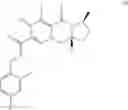 Fig. 04 - ANTIVIRAL THERAPY