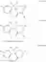 Fig. 08 - USE OF (2R, 6R)-HYDROXYNORKETAMINE, (S)-DEHYDRONORKETAMINE AND OTHER STEREOISOMERIC DEHYDRO AND HYDROXYLATED METABOLITES OF (R,S)- KETAMINE IN THE TREATMENT OF DEPRESSION AND NEUROPATHIC PAIN