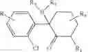 Fig. 25 - USE OF (2R, 6R)-HYDROXYNORKETAMINE, (S)-DEHYDRONORKETAMINE AND OTHER STEREOISOMERIC DEHYDRO AND HYDROXYLATED METABOLITES OF (R,S)- KETAMINE IN THE TREATMENT OF DEPRESSION AND NEUROPATHIC PAIN