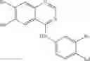 Fig. 33 - Combination Products with Tyrosine Kinase Inhibitors and their Use
