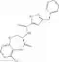 Fig. 316 - HETEROCYCLIC AMIDES AS KINASE INHIBITORS