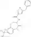 Fig. 335 - HETEROCYCLIC AMIDES AS KINASE INHIBITORS