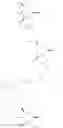 Fig. 152 - Chitosan covalently linked with small molecule integrin antagonist for targeted delivery