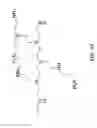 Fig. 06 - Polysaccharide-polyamine copolymers for removal of phosphate