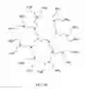 Fig. 07 - Polysaccharide-polyamine copolymers for removal of phosphate