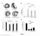 Fig. 02 - Methods of tissue repair and regeneration