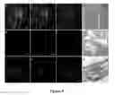 Fig. 09 - Methods of tissue repair and regeneration