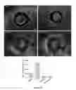 Fig. 40 - Methods of tissue repair and regeneration
