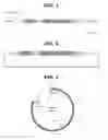 Fig. 02 - Engineered oncolytic viruses containing hyper-binding sites to sequester and suppress activity of oncogenic transcription factors as a novel treatment for human cancer
