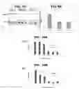 Fig. 05 - Engineered oncolytic viruses containing hyper-binding sites to sequester and suppress activity of oncogenic transcription factors as a novel treatment for human cancer