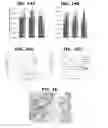 Fig. 07 - Engineered oncolytic viruses containing hyper-binding sites to sequester and suppress activity of oncogenic transcription factors as a novel treatment for human cancer