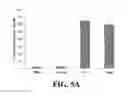 Fig. 09 - Chimeric peptides against HTLV-1