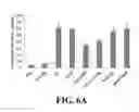 Fig. 13 - Chimeric peptides against HTLV-1