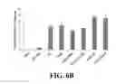 Fig. 14 - Chimeric peptides against HTLV-1