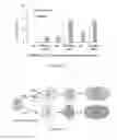 Fig. 33 - Methods to improve induction of IgA antibodies by vaccines