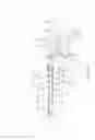 Fig. 02 - METHODS AND DEVICES FOR SUPPORTING AN ENDOTRACHEAL TUBE