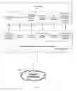 Fig. 09 - SYSTEM FOR REMOTE GAME ACCESS