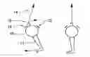 Fig. 01 - Walking doll 4